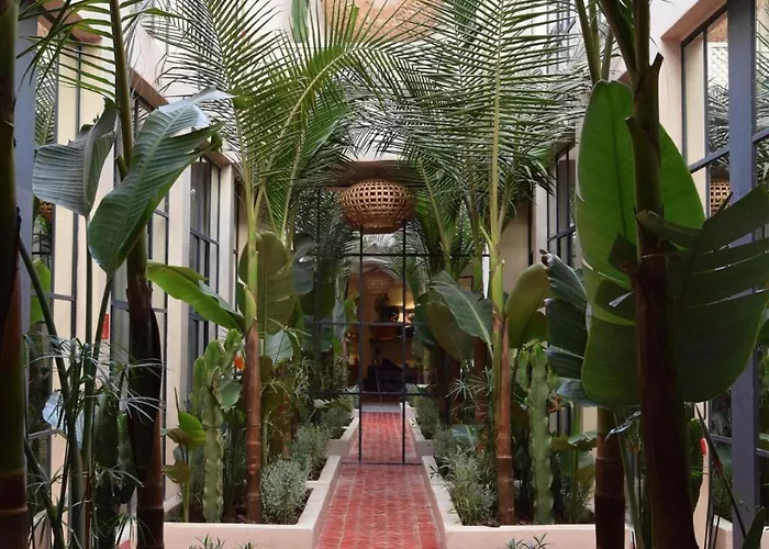 Miostello Lifestyle Riad Marrakesh